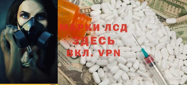 спиды Гатчина