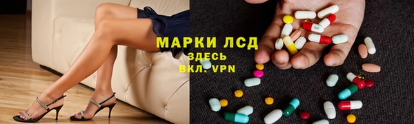 спиды Гатчина