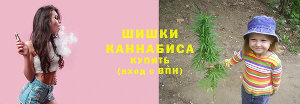 круглые Вяземский