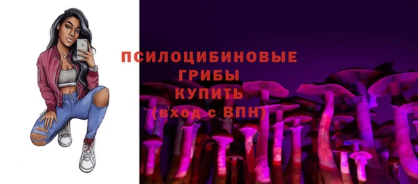спиды Гатчина