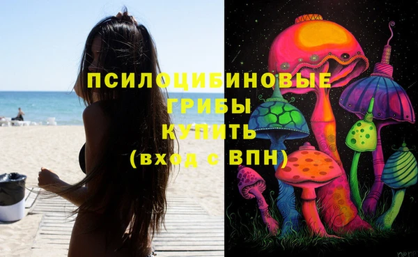 марки nbome Чекалин