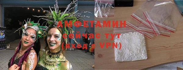 спиды Гатчина