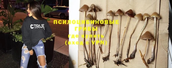 первитин Галич