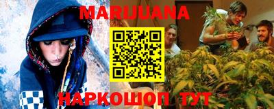сатива Волжский