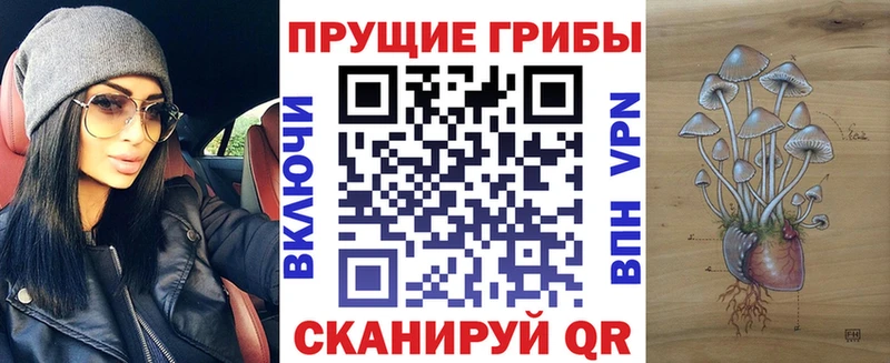 как найти закладки  Заводоуковск  блэк спрут онион  Псилоцибиновые грибы ЛСД 
