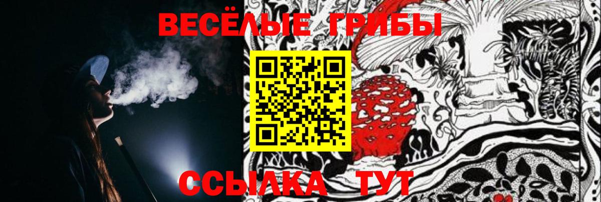 Галлюциногенные грибы Psilocybe  Псилоцибиновые грибы мицелий  Заводоуковск  Вход с VPN 