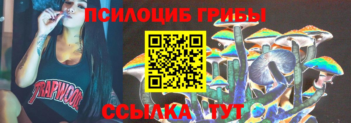 Галлюциногенные грибы Magic Shrooms  Заводоуковск  Галлюциногенные грибы мухоморы 