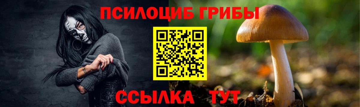 Псилоцибиновые грибы мицелий Заводоуковск