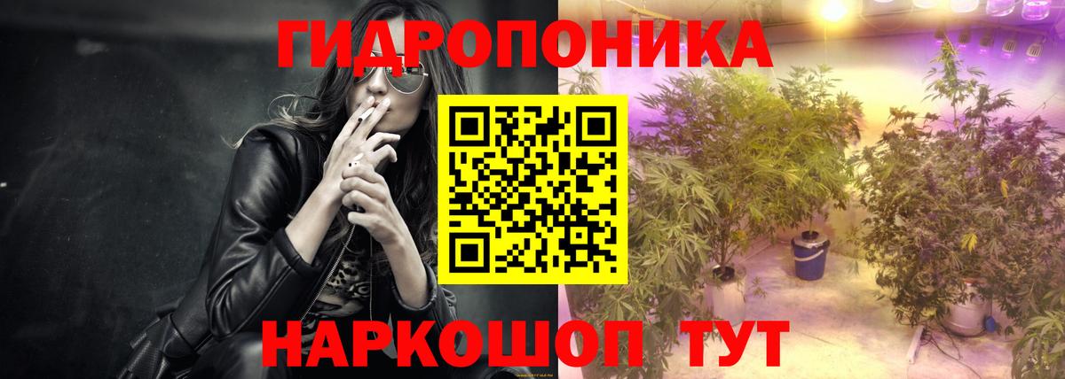 Бошки марихуана OG Kush Заводоуковск